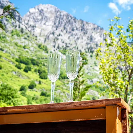 Arditi's 木屋 Boge